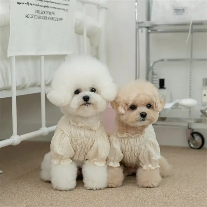 dog-cloth-914-950- (2)